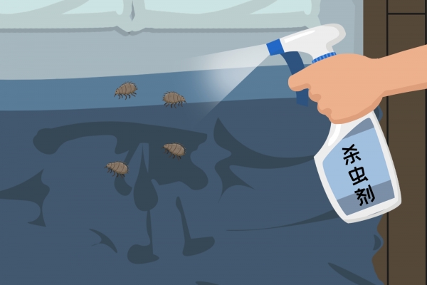 夏天床上的小圆虫是什么 如何应对床上的小圆虫