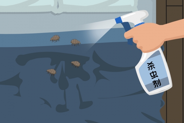 夏天床上如何除虫效果好 夏天床上除虫效果好的方法