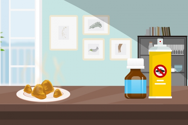 夏天床上如何除虫效果好 夏天床上除虫效果好的方法