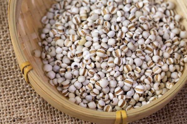 薏米怎么吃去湿气效果好 食用薏米的注意事项