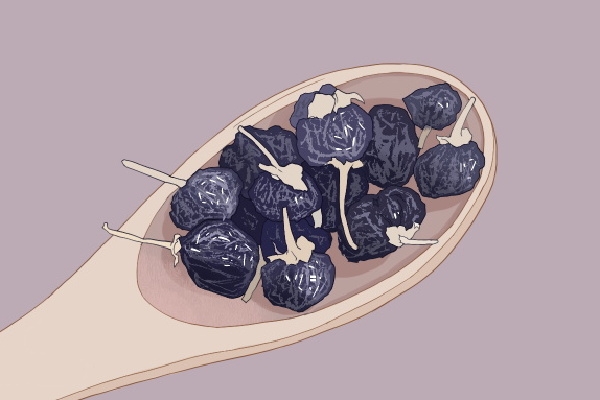 黑枸杞与红枸杞的区别 黑枸杞和红枸杞哪个补肾壮阳效果好