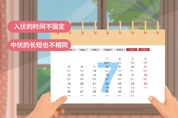 2024三伏天时间表 三伏天一般在哪两个节气之间