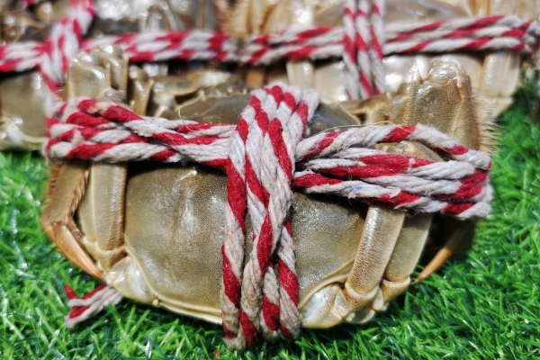 大闸蟹为什么用蒸不用水煮 蒸螃蟹相较于煮螃蟹的好处