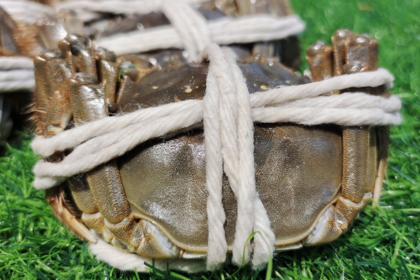 大闸蟹为什么用蒸不用水煮 蒸螃蟹相较于煮螃蟹的好处