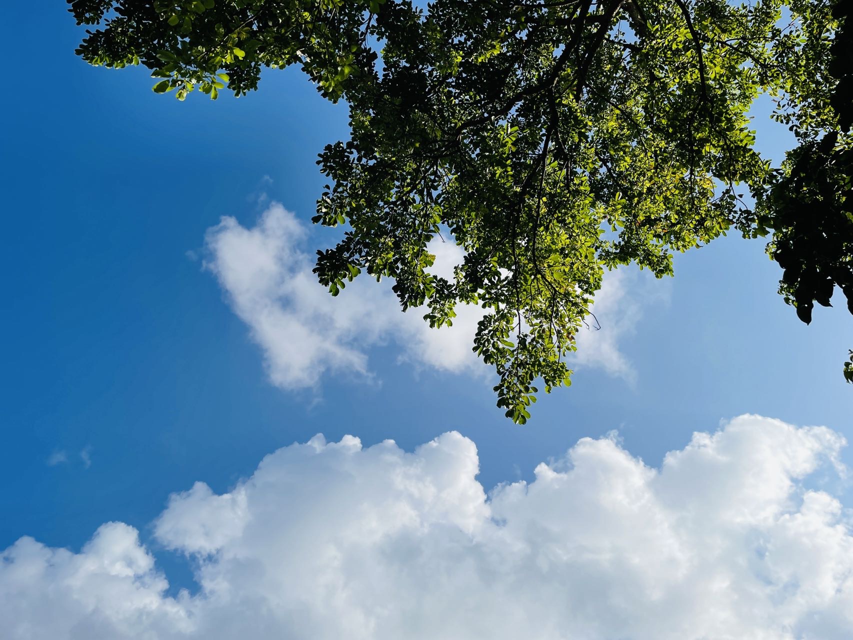 中暑的症状及缓解方法 中暑了怎么办