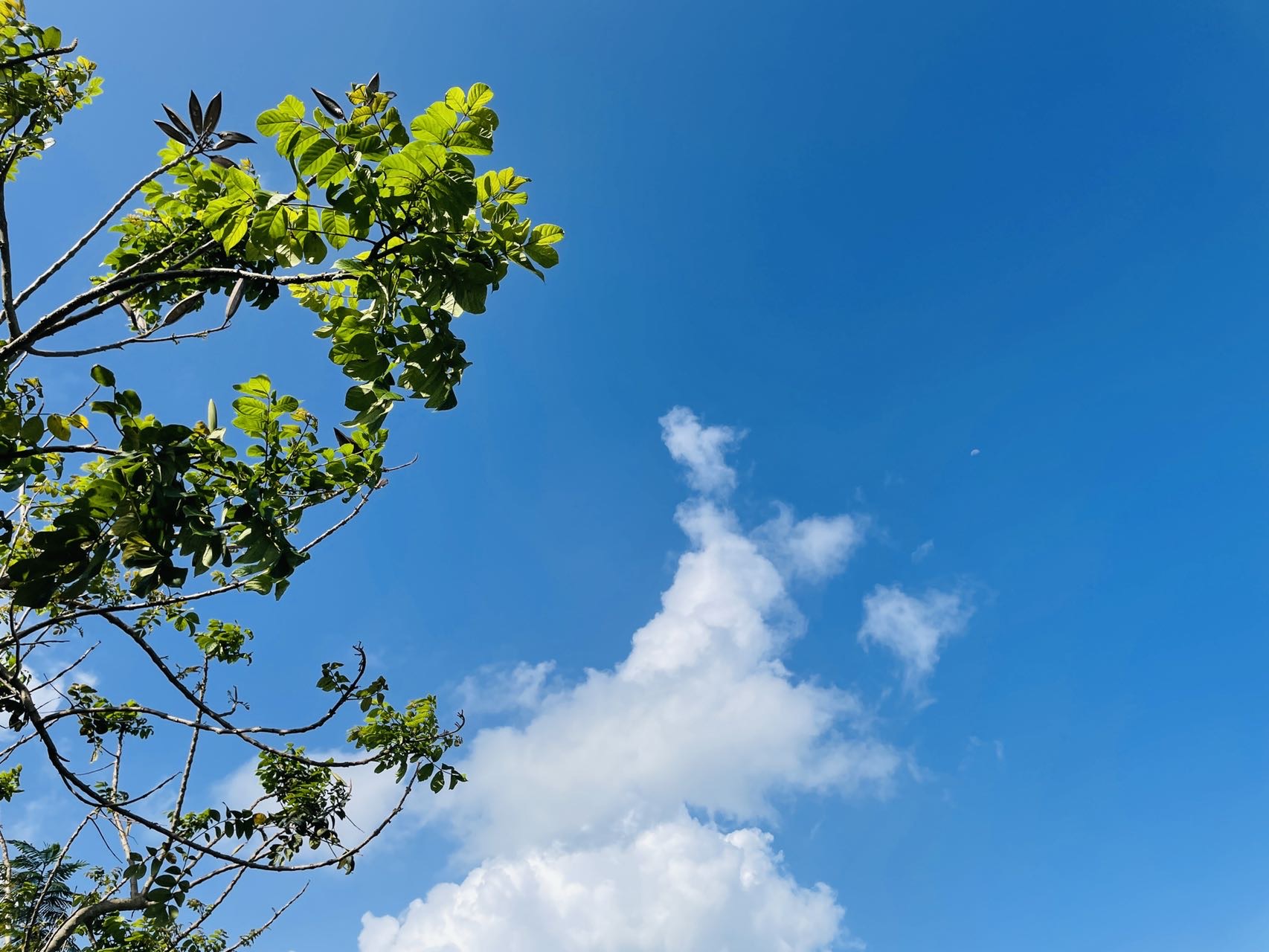 中暑的症状及缓解方法 中暑了怎么办