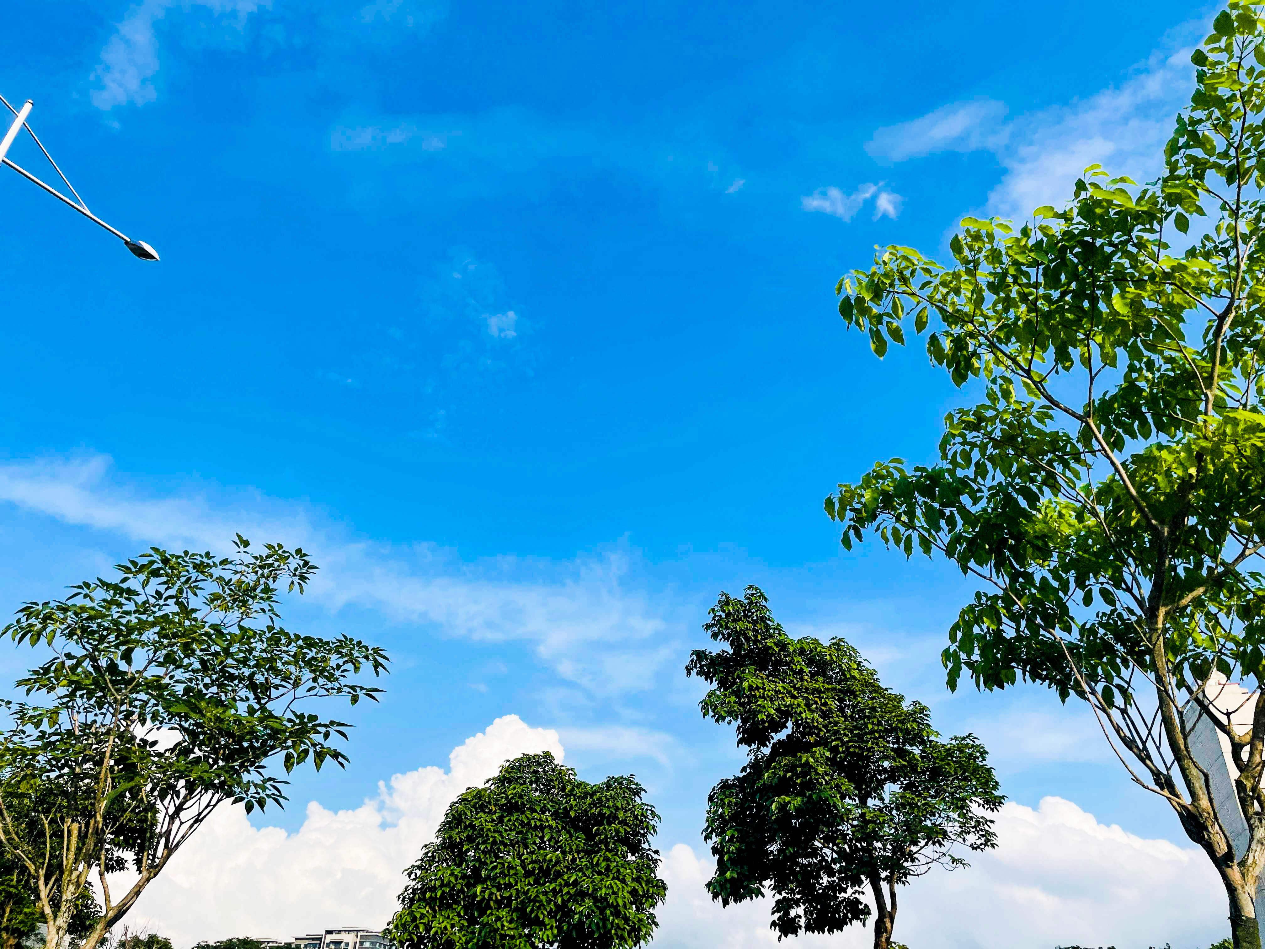 三伏天穿短裤凉快还是裙子 三伏天吃什么养生