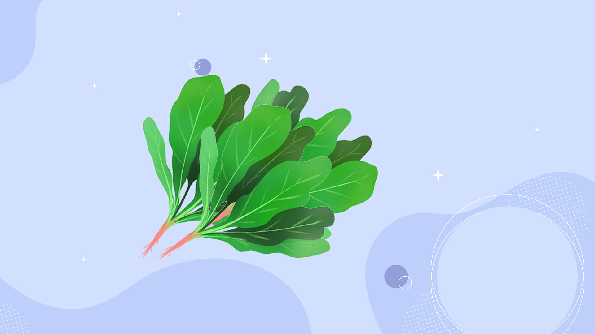 三伏天穿短裤凉快还是裙子 三伏天吃什么养生