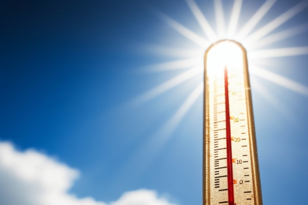 三伏天可以早上洗头吗？为什么 三伏天早上洗头的利与弊