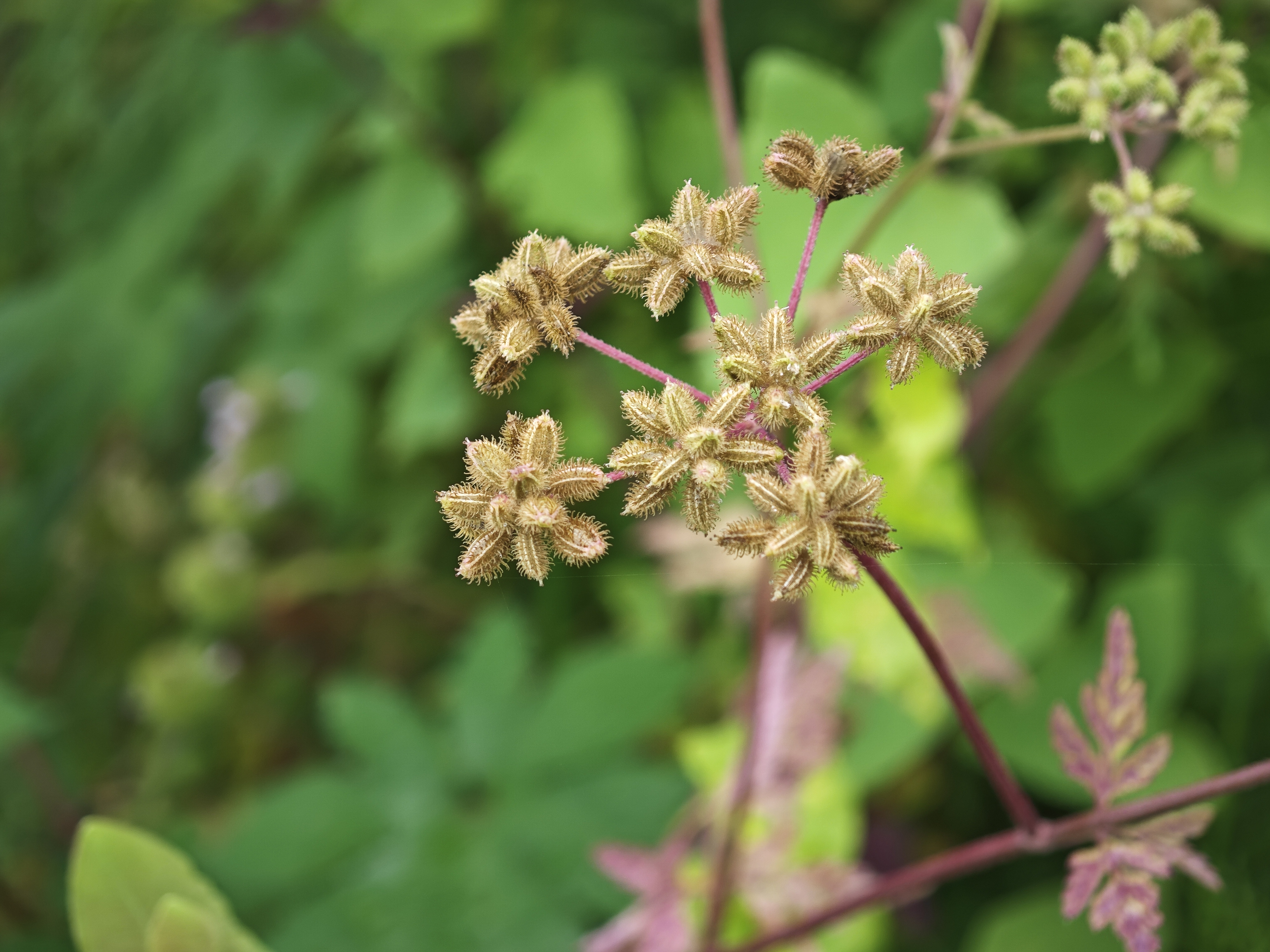 三伏天出伏后该怎么养生 出伏养生的注意事项