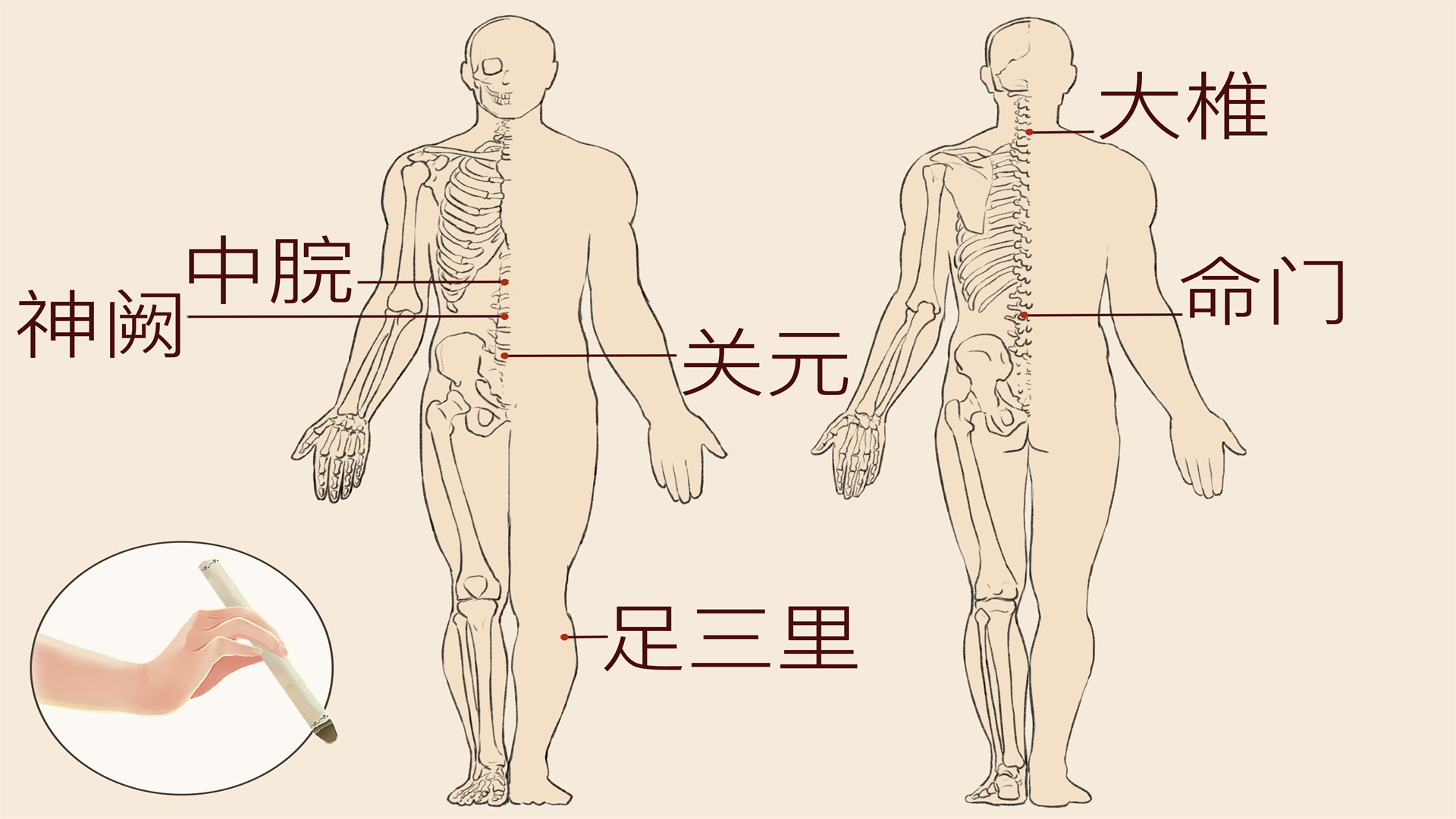 三伏天艾灸的最佳位置是哪里 艾灸的注意事项