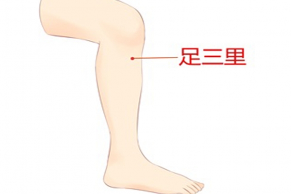 三伏天脾胃不好贴哪个穴位 三伏天贴敷的注意事项