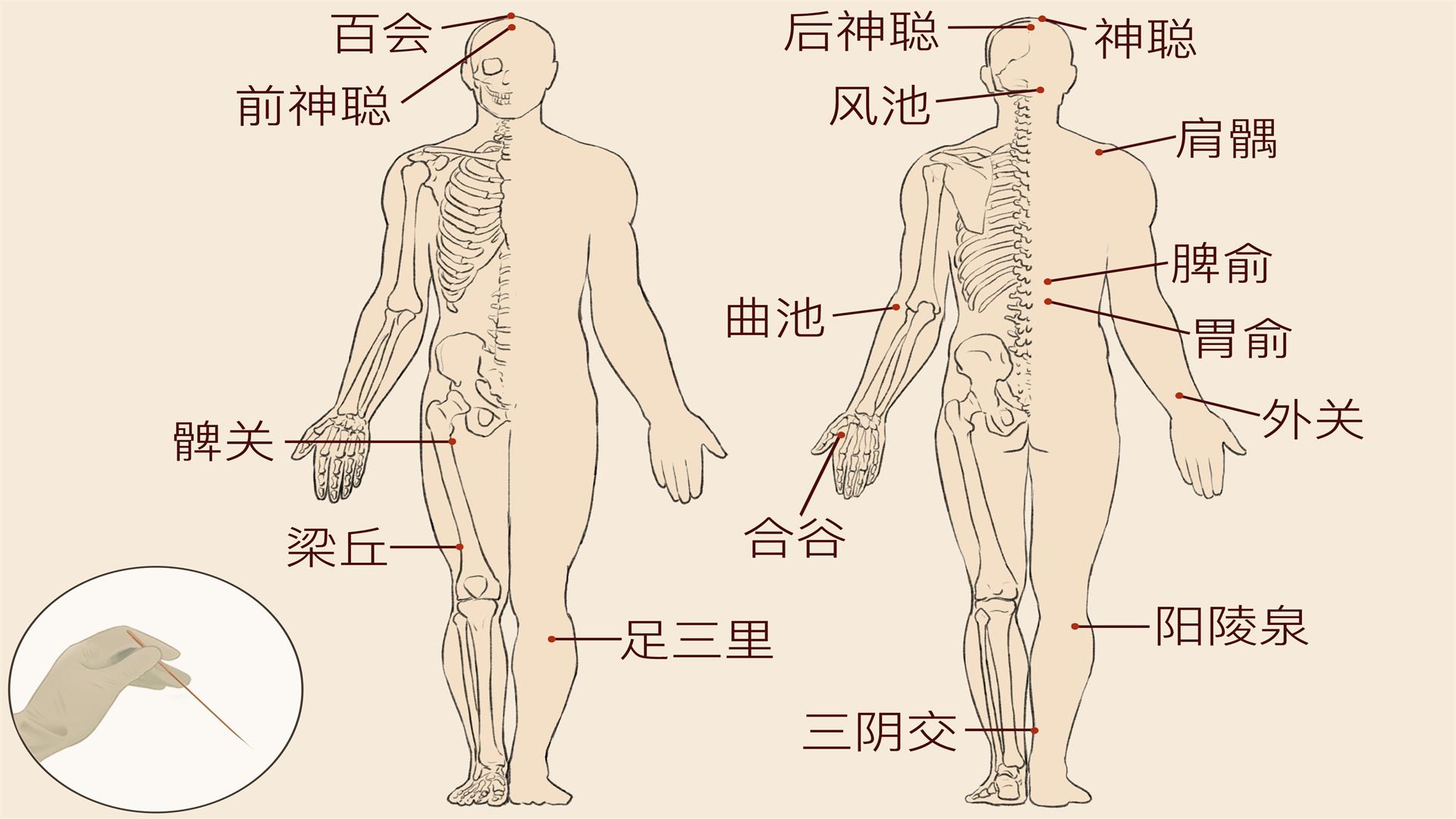 男性三伏天艾灸血海穴的好处 男性艾灸具体穴位