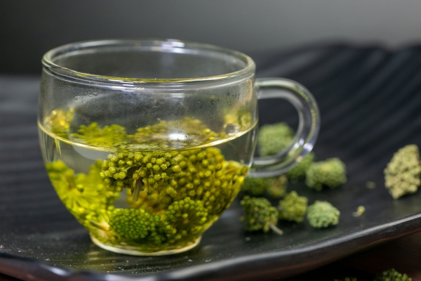 女生夏季三伏天喝什么茶 推荐女生三伏天喝的茶