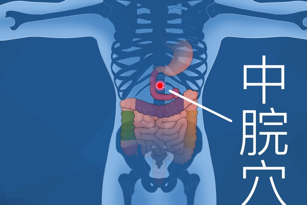 调脾胃三伏天贴什么穴位 三伏天贴敷注意事项