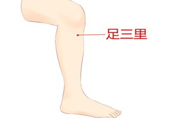 调脾胃三伏天贴什么穴位 三伏天贴敷注意事项