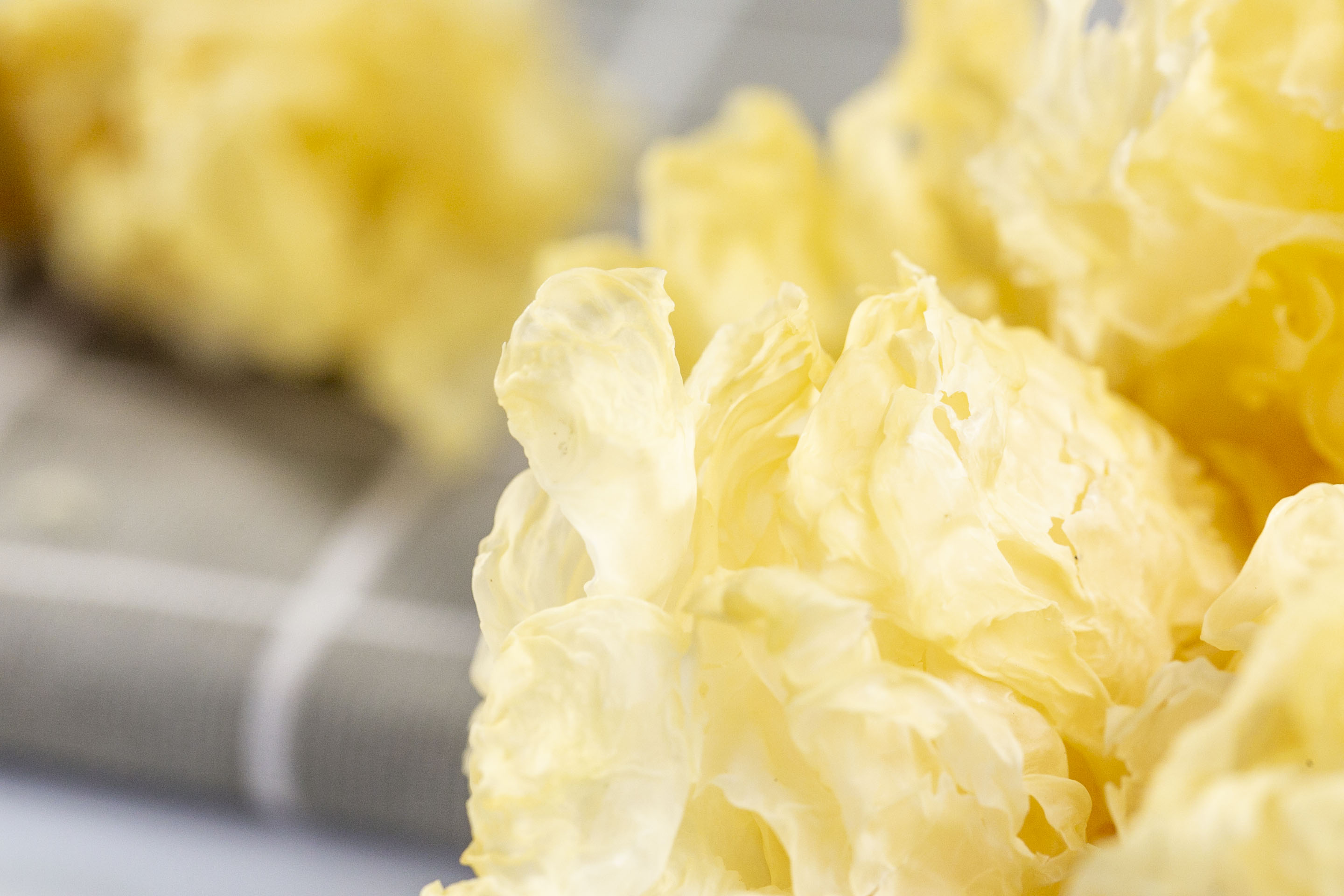 补肺气的食物有哪些 补肺气人们常吃的食物