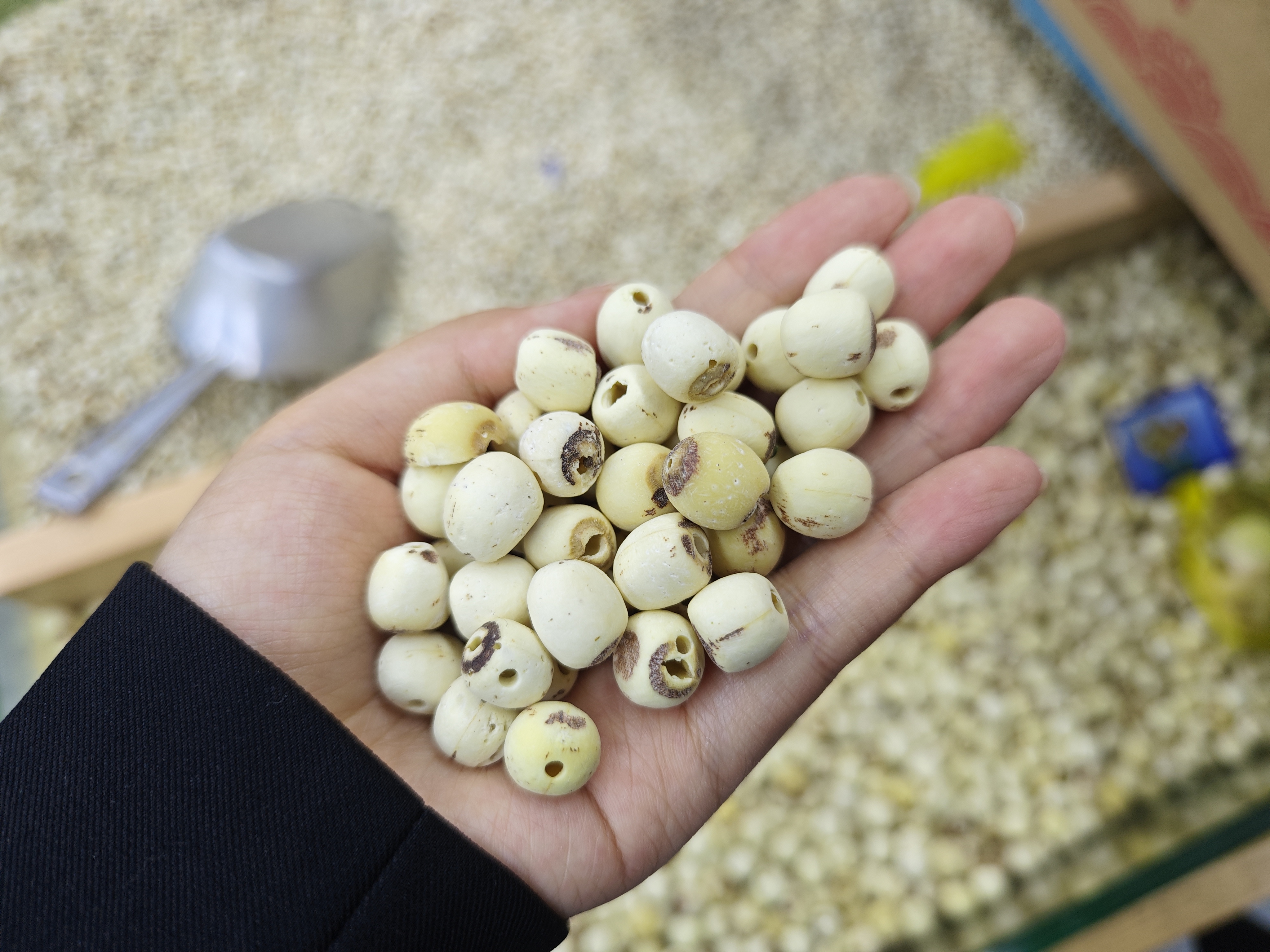 补脾的食物有哪些 补脾的食疗有哪些