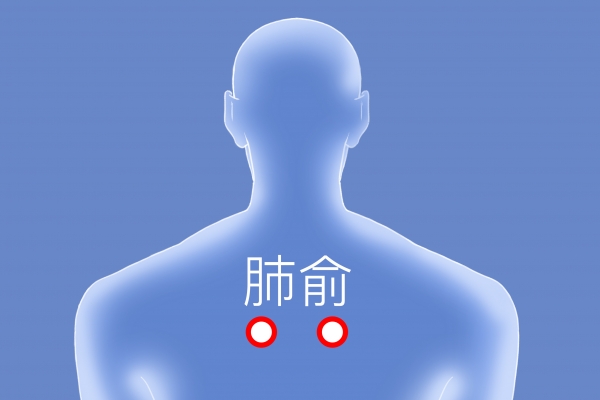 三伏天艾灸哪些部位好点 三伏天适合艾灸的穴位