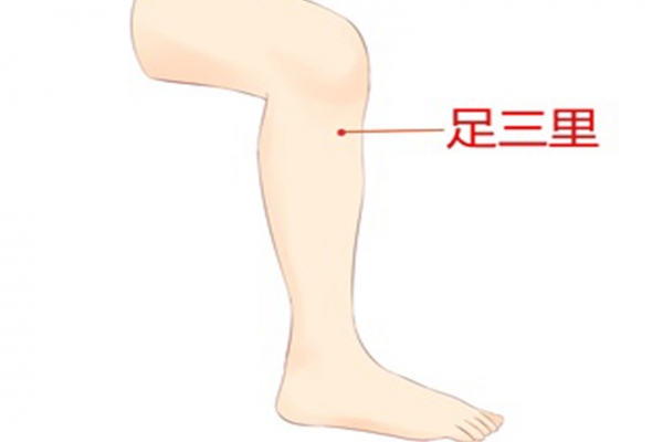 三伏天艾灸哪些部位好点 三伏天适合艾灸的穴位