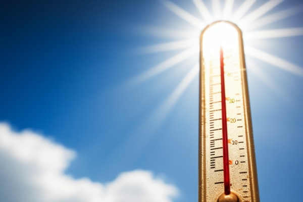 三伏天怎样保养吃哪些食物 三伏天吃哪些食物比较好