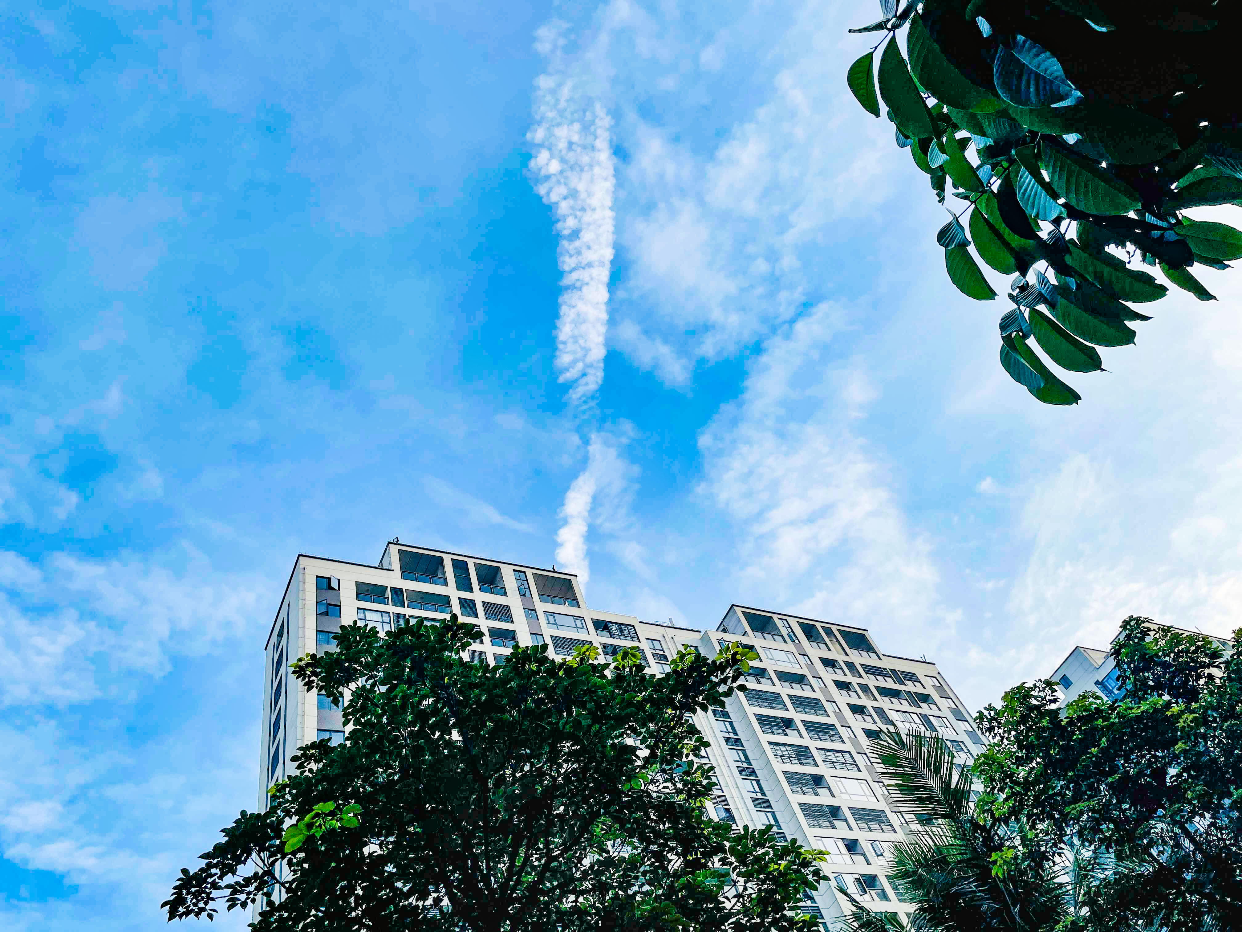 三伏天早上喝姜出汗好吗？ 三伏天养生的注意事项