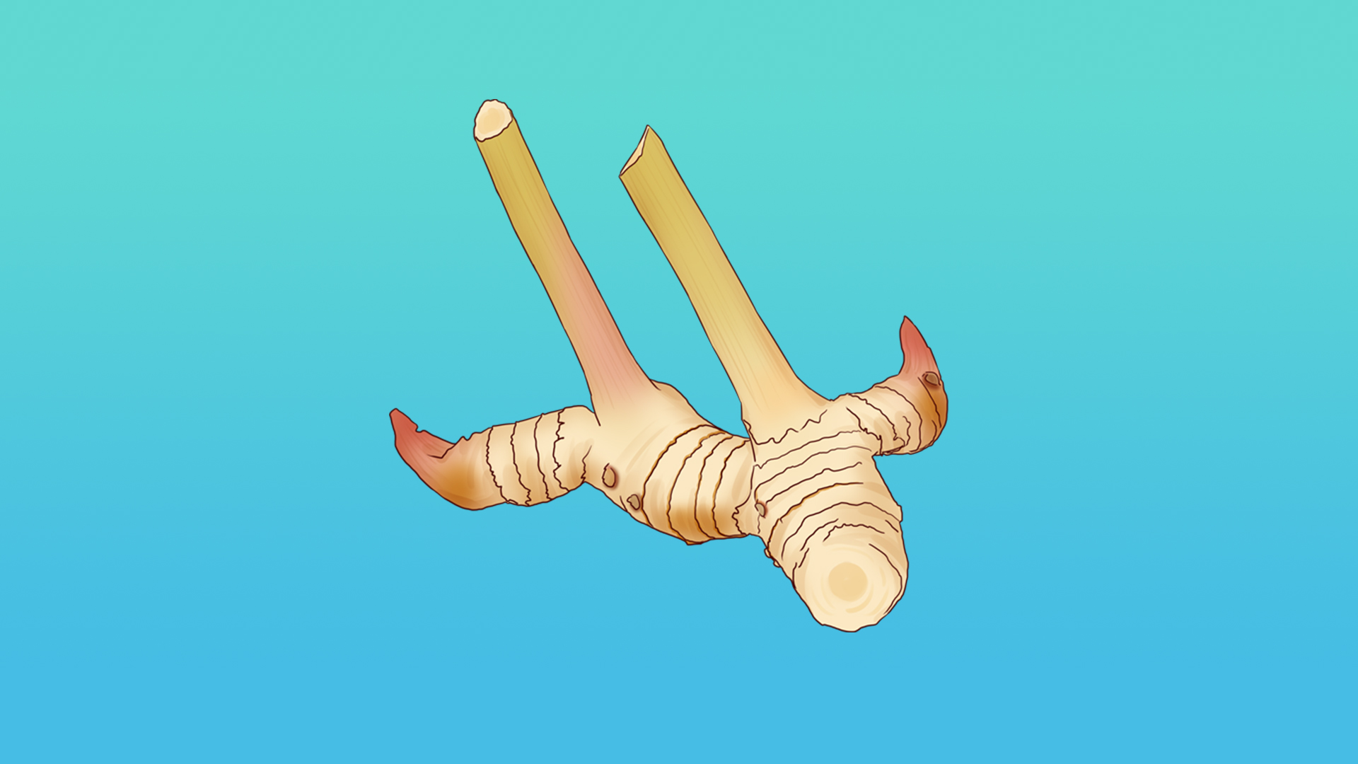 艾叶加什么泡水可排毒祛湿 艾叶煮水喝的功效