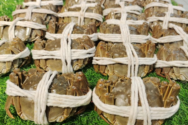 大闸蟹一天最多吃几个 吃大闸蟹注意事项