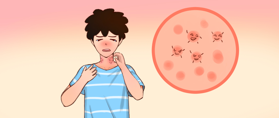 白茯苓和土茯苓祛湿哪个好 白茯苓和土茯苓的功效