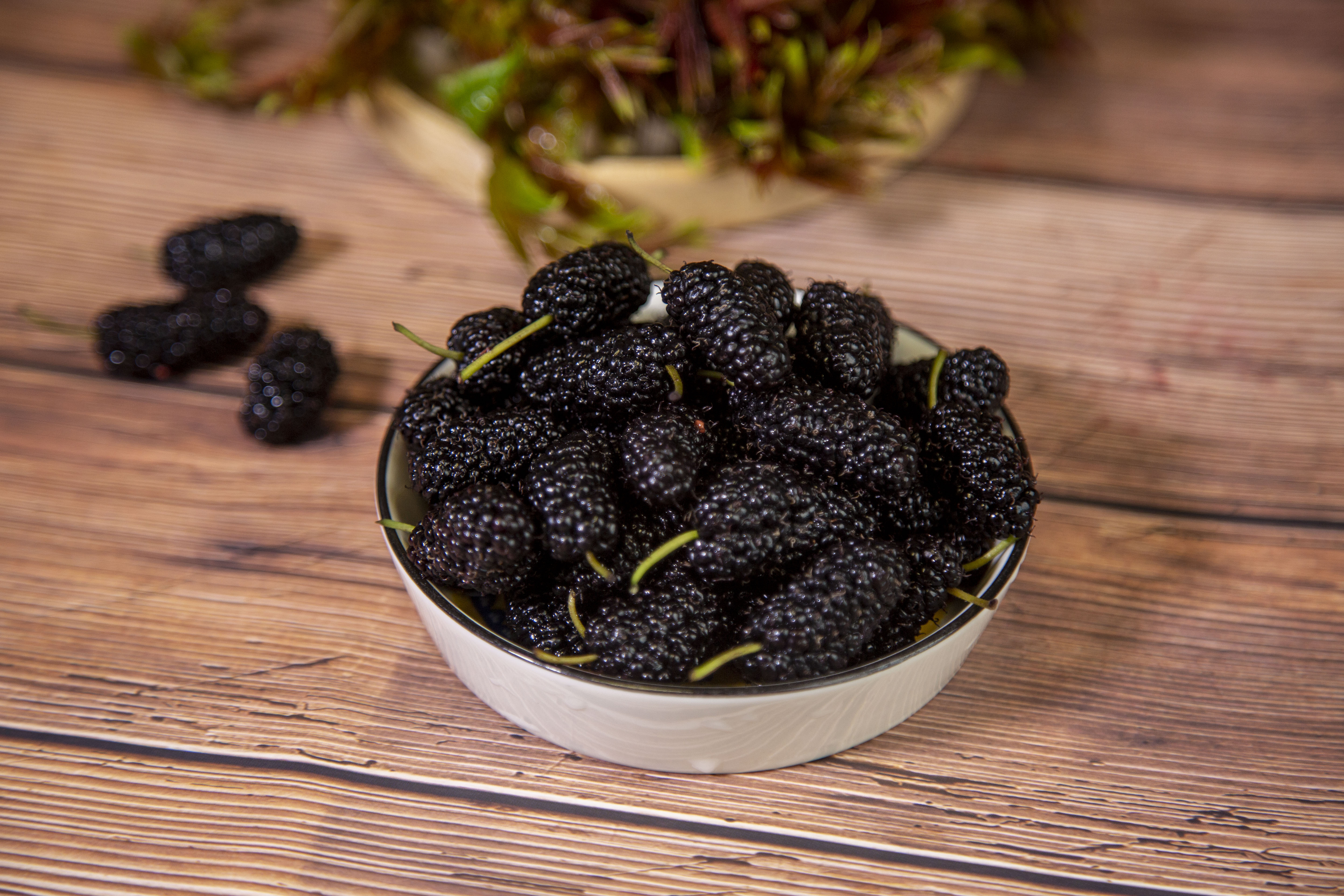 养肾补精的食物有哪些 强精养肾的食谱