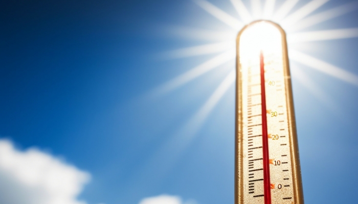 三伏天可以喝红枣粥吗？ 三伏天养生食谱