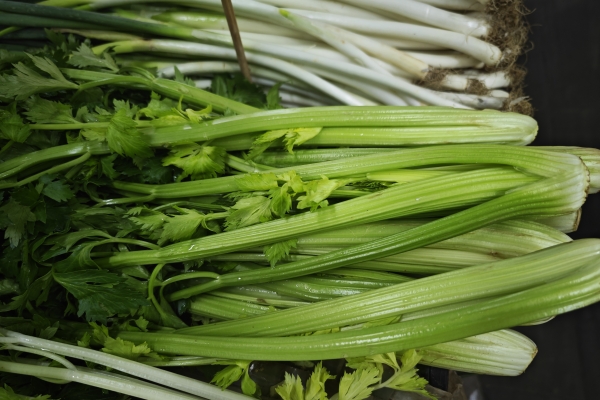 夏季哪些食物能健脾祛湿 辅助健脾祛湿的食物