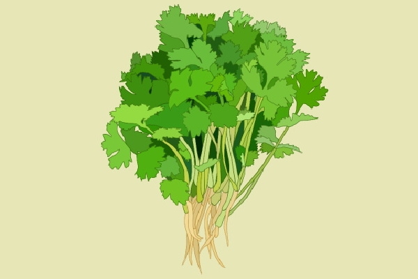 损伤阳气的日常行为 补阳气的食物有哪些