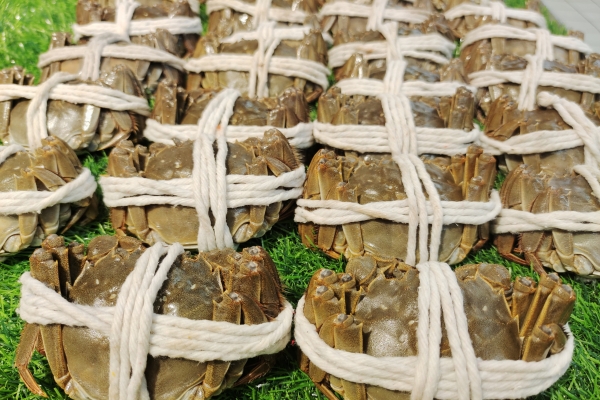 大闸蟹冷的能不能吃 大闸蟹冷冻后还能活吗？