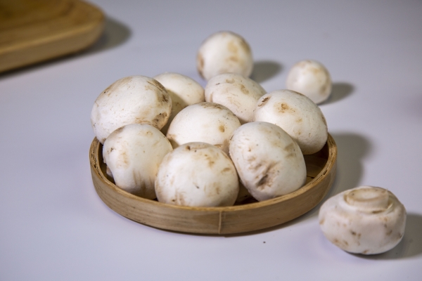口蘑不能与哪些食物一同食用 吃口蘑的注意事项