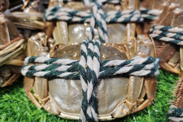 大闸蟹过了几月份就不能吃了 哪些人群不能食用大闸蟹