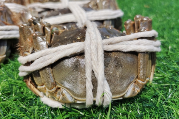 大闸蟹过了几月份就不能吃了 哪些人群不能食用大闸蟹