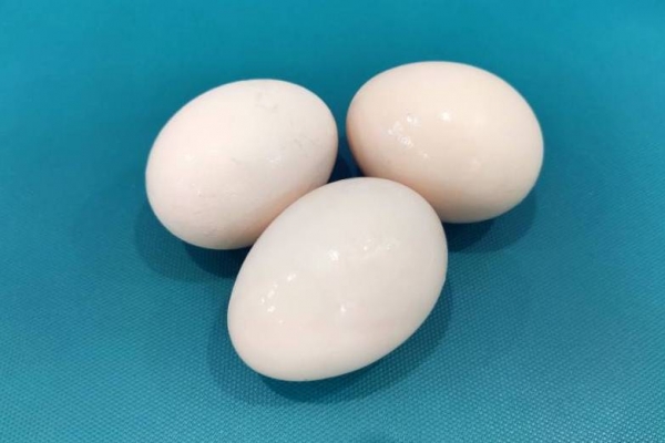 金针菇和鸡蛋能不能一起吃 金针菇和鸡蛋同食注意事项