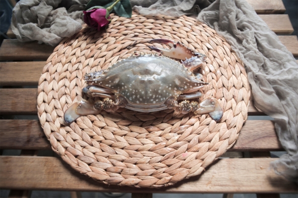 梭子蟹为什么不能清蒸 冻梭子蟹能清蒸吗？