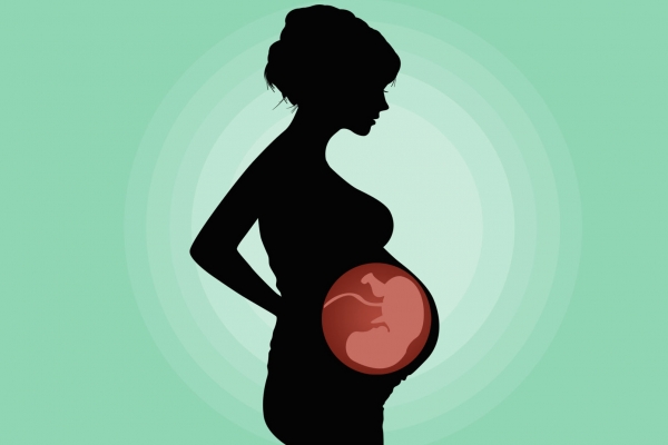 孕妇八个月了可以吃月饼吗？ 孕妇八个月了需要注意什么