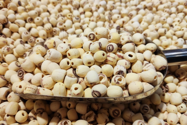 莲子心和什么搭配泡水喝最好 莲子心配什么不伤脾胃