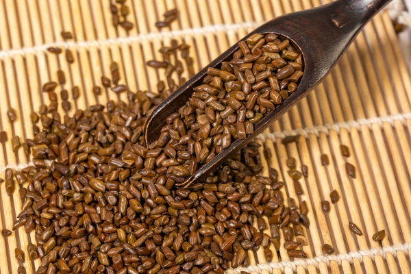 决明子的功效与作用 决明子的适宜人群