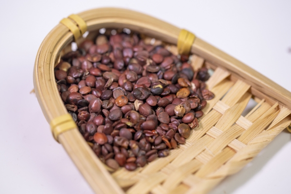 酸枣仁的功效与作用 使用酸枣仁的注意事项