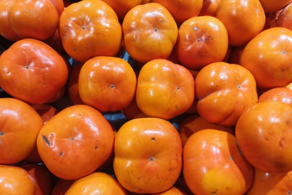 柿子和酸奶能一起吃吗？ 柿子的搭配食物禁忌