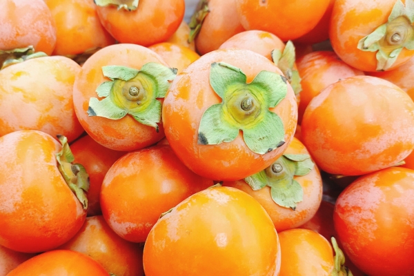 柿子和虾能一起吃吗？ 柿子和虾的禁忌人群