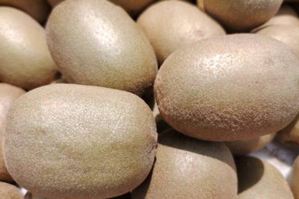 猕猴桃保鲜及储存方法 猕猴桃的营养价值