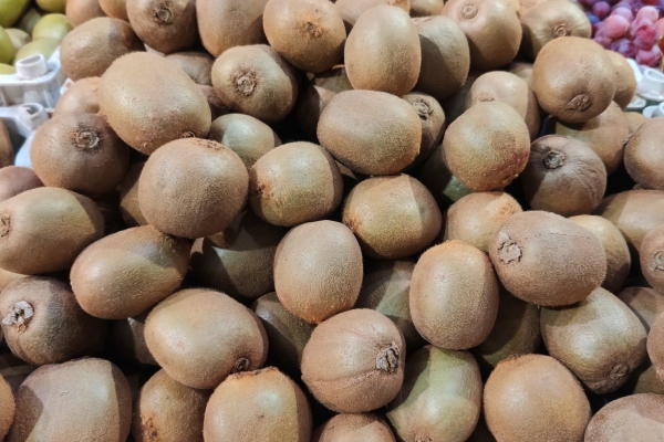 猕猴桃可以放在冰箱保鲜吗？ 猕猴桃是冷藏还是常温