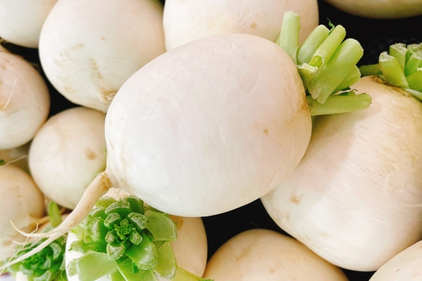 白萝卜怎么吃止咳化痰 哪种萝卜止咳化痰效果好