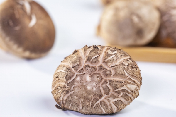 干香菇一般要泡多久才能食用 干香菇怎么泡才正确