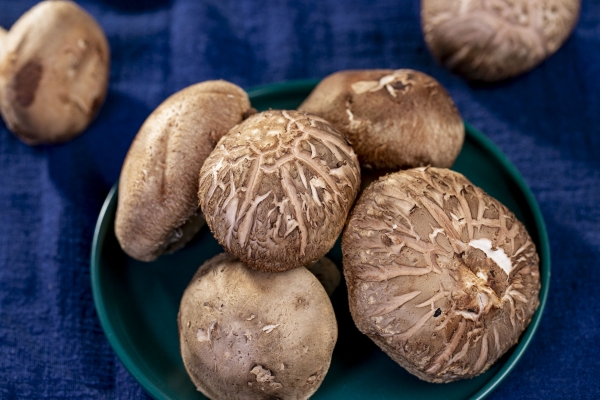 干香菇一般要泡多久才能食用 干香菇怎么泡才正确